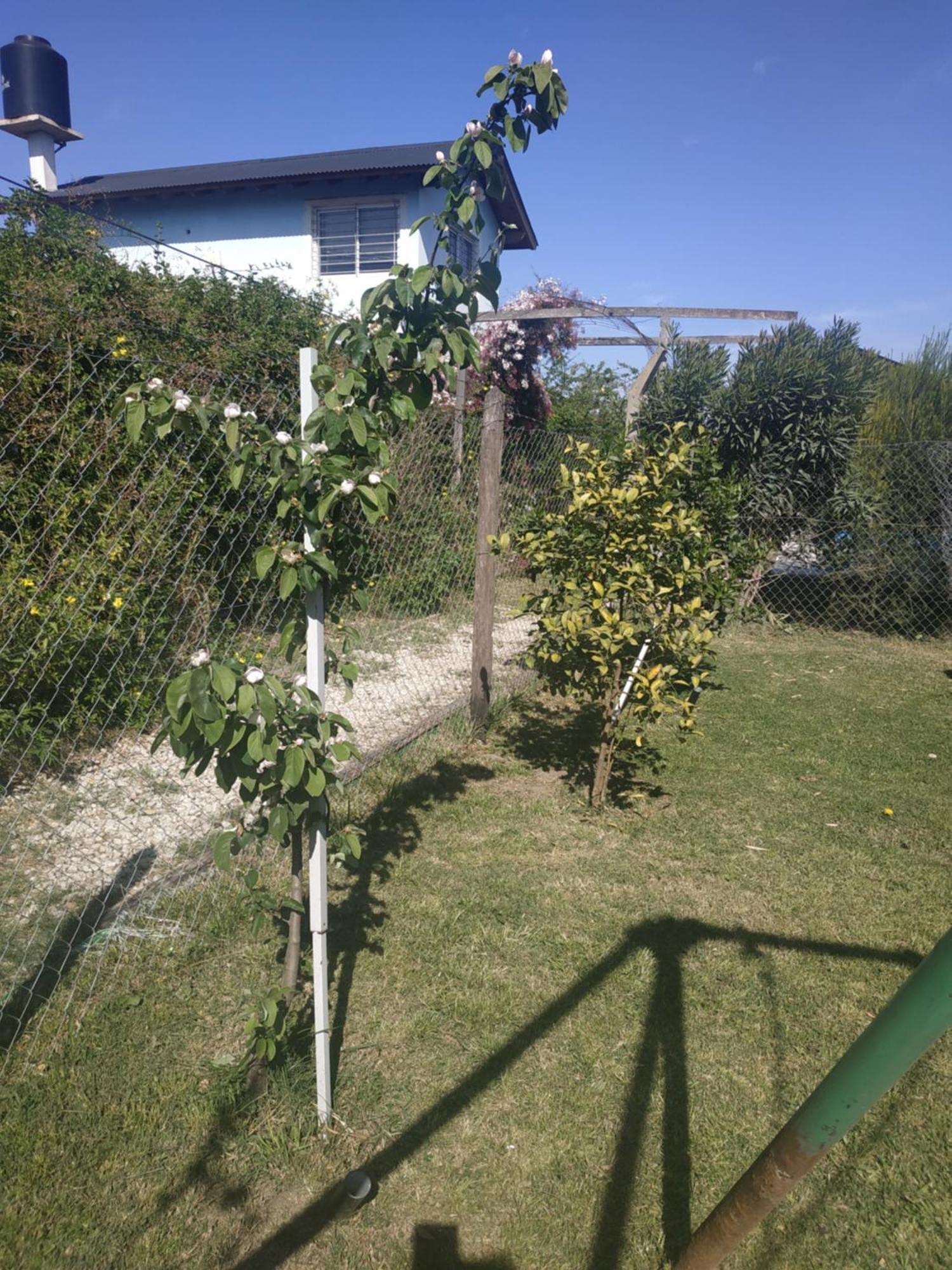 Cabaña La América Villa Ezeiza Camera foto